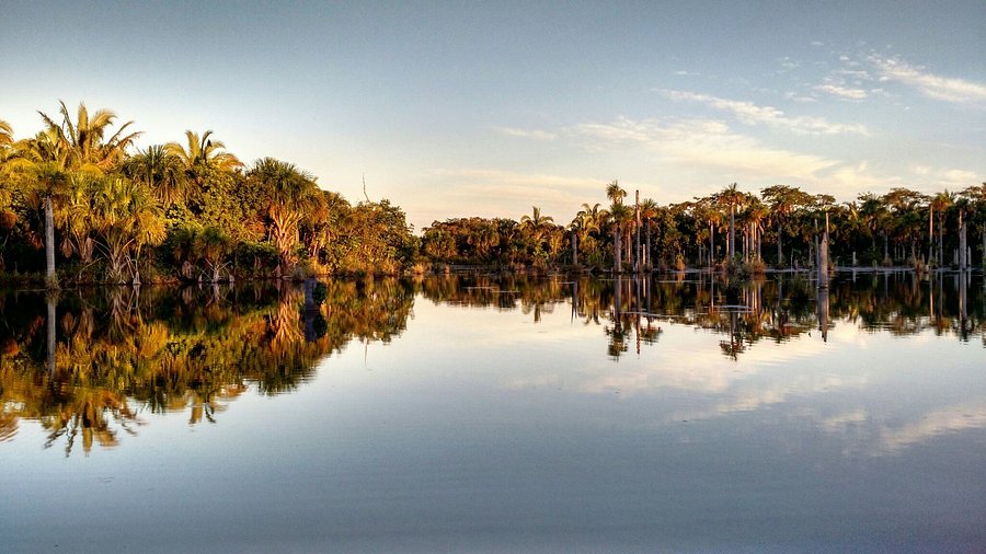 Lagoa das Araras